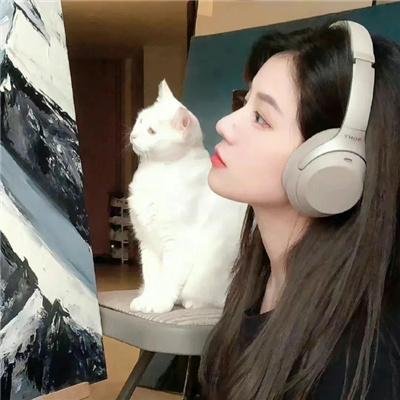 胖者生存第一季